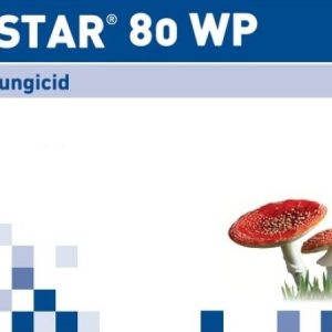 star_80_wp