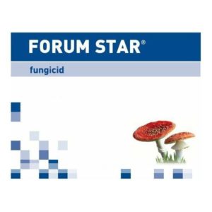 Forum_Star