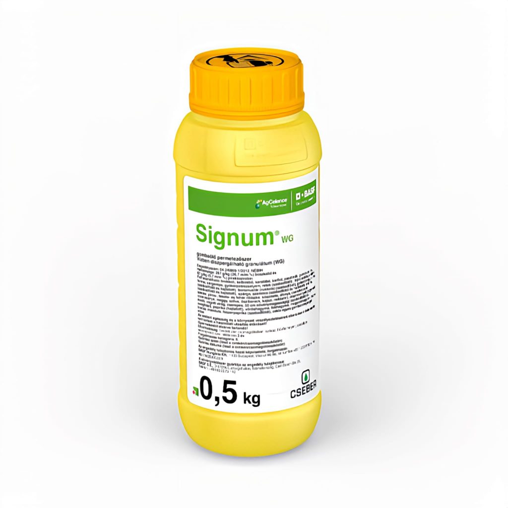 Signum_500g